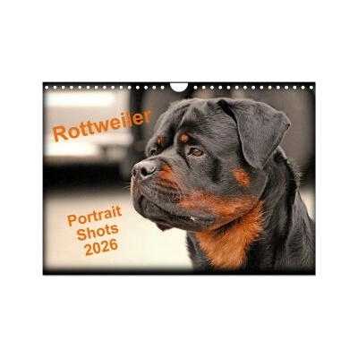 Rottweiler Portait Shots Wall 2026 DIN A4 landscape, CALVENDO 12 Month Wall 2026