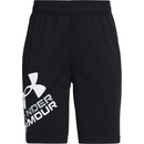 Under Armour Prototype 2.0 logo shorts