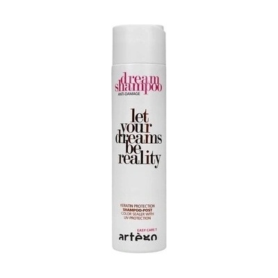 Artego Easy Care T Dream Anti-Damage Šampon Obnovující 250 ml