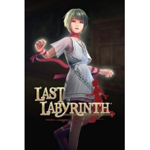 Last Labyrinth