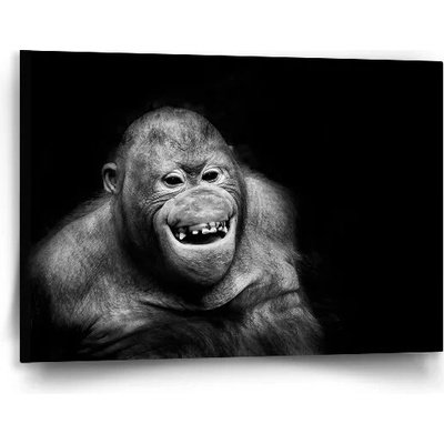 Sablio Obraz Orangután - 90x60 cm