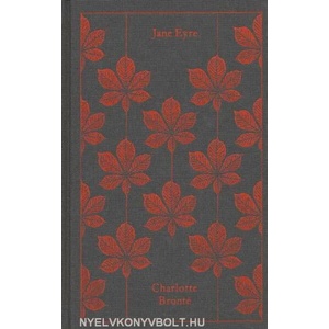 Jane Eyre (ISBN: 9780141040387)