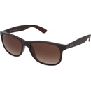 Ray-Ban RB4202 6073 13