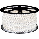 ECOLIGHT MS0001