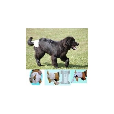 Chopo Plena 13 17 kg 1 ks – Hledejceny.cz