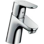 Hansgrohe Focus 31730000