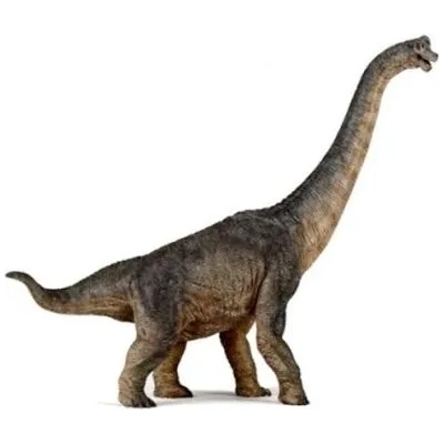 Papo - Фигурка за колекциониране и игра - Брахиозавър (55030)