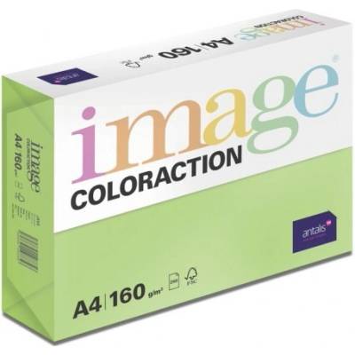 Antalis Kancelářský papír Image Coloraction A4 80 g/m2 středně zelená 500 archů