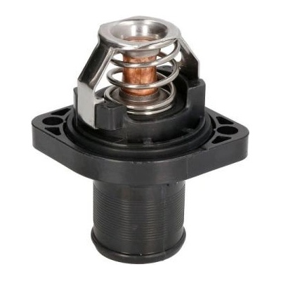 THERMOTEC Termostat, chladivo D2C003TT