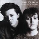 TEARS FOR FEARS: SONGS FROM THE BIG CHAIR CD