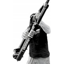 Rock Shox Domain Gold Isolator RC3