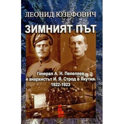 Зимният път