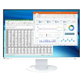 Eizo FlexScan EV2410R-WT