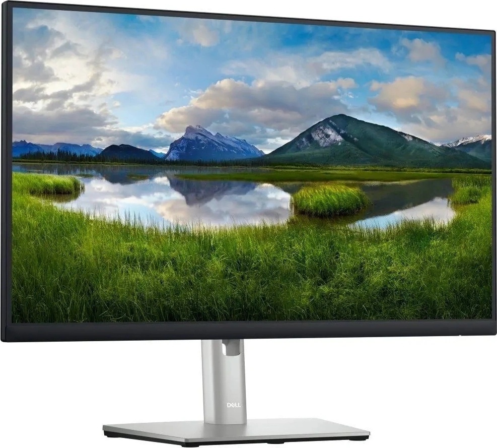 Dell P2423DE