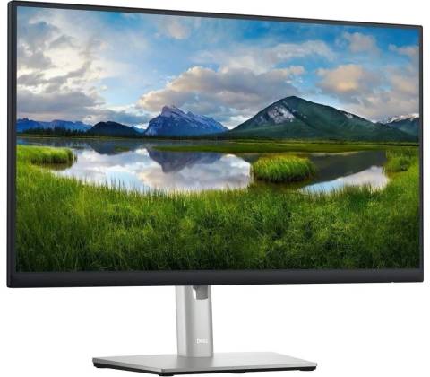 Dell P2423DE