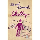 Skellig - David Almond