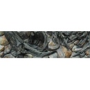 Diversa 3D pozadie Amazon 150 x 50 cm