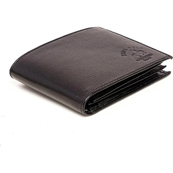 Image 1 of David Polo classico 02 (013)