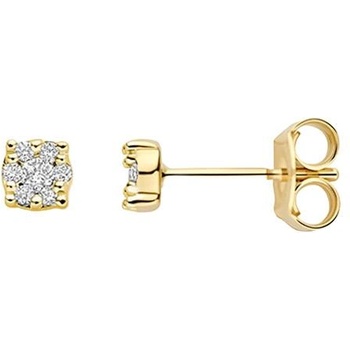 Blush Златни дамски обеци с диаманти Blush 7639YDI (7639YDI)