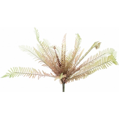 Kapradina Matteucia červená 40 cm (N327303)