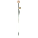 Bloomingville Изкуствено растение (височина 49 cm) Phlox - Bloomingville (82061506)