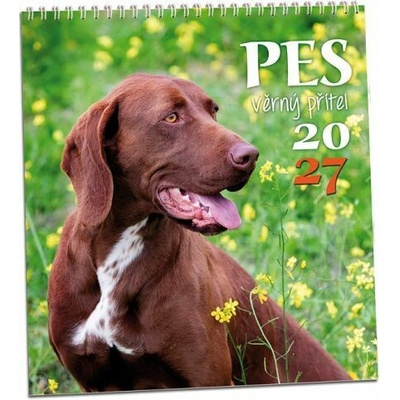 nástěnný Pes věrný přítel 32cm x 34cm, KN347 2027