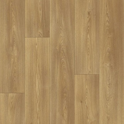 Beaulieu Fortex 2907 5 m 1 m²