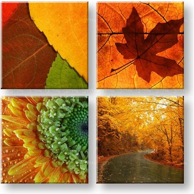 Obraz na stenu 50 shades of yellow - 40x40 cm
