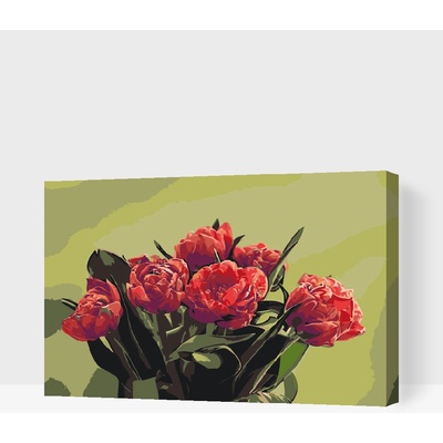 Vymalujsisam Maľovanie podľa čísiel Kytica červených tulipánov
