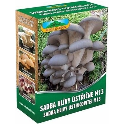 Hliva ustricová 250ml