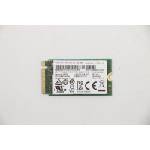 Union Memory AM620 256GB SSS0W76181