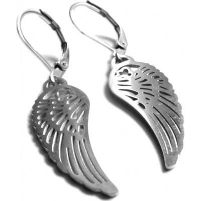 Steel Jewelry náušnice andělská křídla z chirurgické oceli NS090407