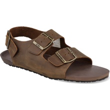 Freet Salcombe Brown