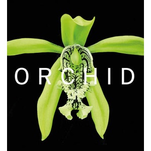 ORCHID | David A. Berry (ISBN: 9781785514432)
