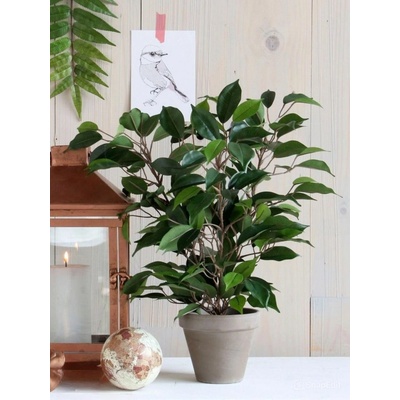 Umělá rostlina Fikus, 40 cm, zelená 930307