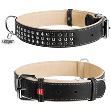 CoLLaR Obojek kožený SOFT s cvočky