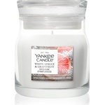 Yankee Candle White Spruce & Grapefruit ароматна свещ Signature 110 гр