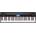 Roland GO:PIANO (GO-61P)