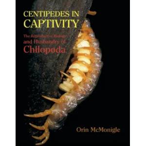 Centipedes in Captivity | Orin McMonigle (ISBN: 9781616462314)