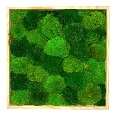 Mechový obraz čtverec - kopečky Velikost rámu: 20x20cm