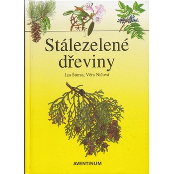 Stálezelené dřeviny