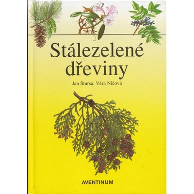 Stálezelené dřeviny