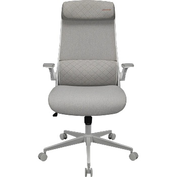 COUGAR COUGAR Stryder White Gaming Chair (CGR-STD-ASW)