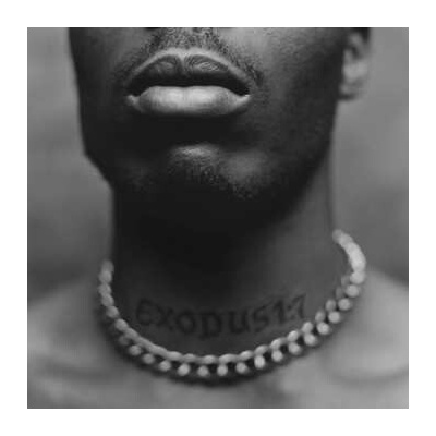 DMX - EXODUS LP