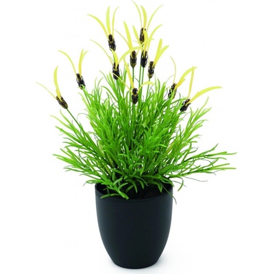 Květináč s kořením, 40 cm