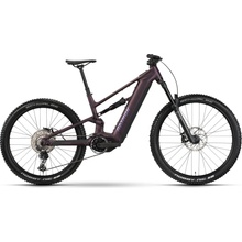 Raymon Ravor Comp 2026