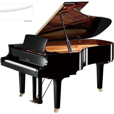 Yamaha C6X PWH