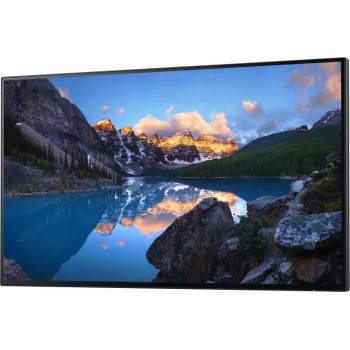 Dell UltraSharp U2424HWOS