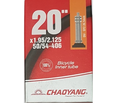 Chaoyang DV