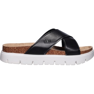 Lotto CRISPA 40